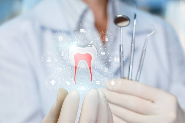 Best Wisdom Tooth Removal  in Dundee, FL