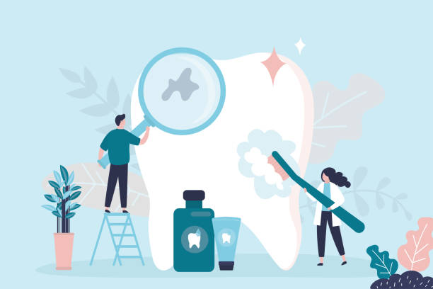 Best Dental Fillings (Composite and Amalgam)  in Dundee, FL
